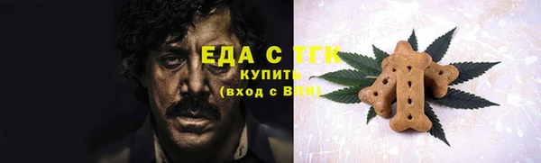 гашик Каменка